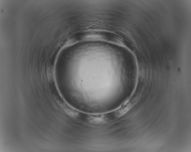 X0000070230285200605301503