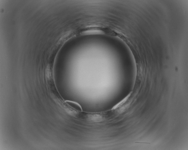 X0000070230287200605301503