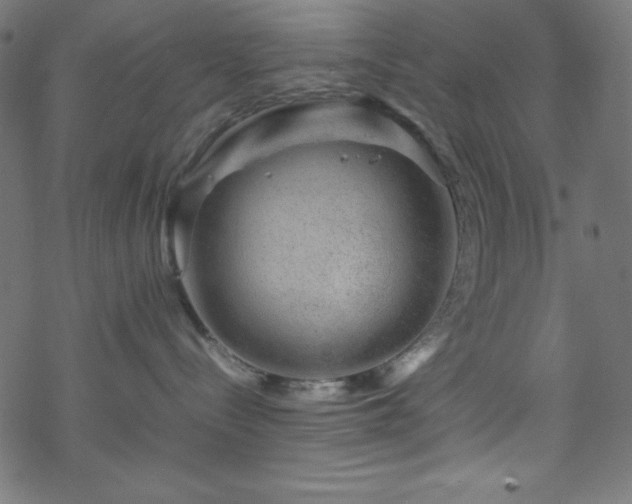 X0000070230288200605301503