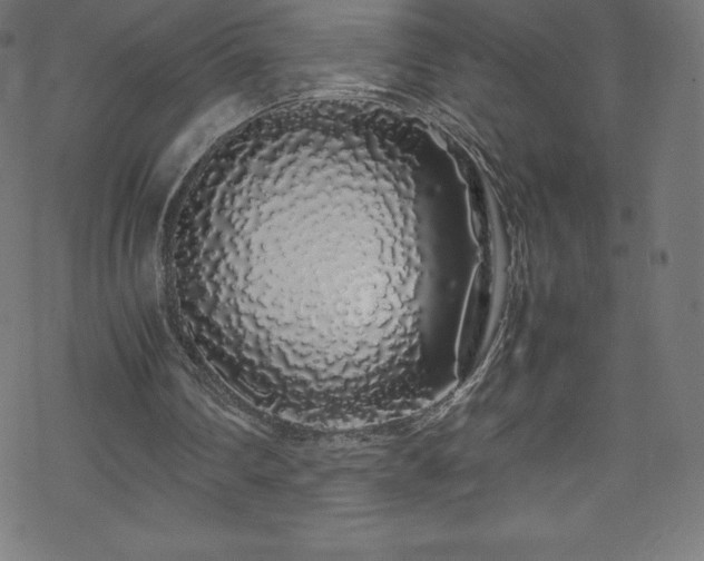 X0000070230290200605301502