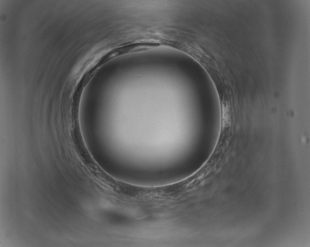 X0000070230291200605301502