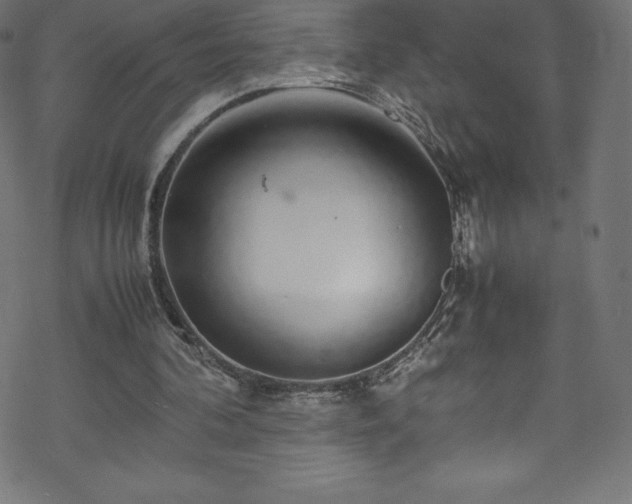 X0000070230292200605301502