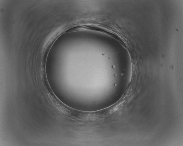 X0000070230293200605301502