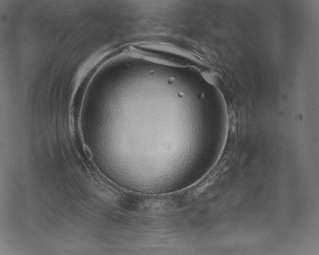 X0000070230294200605301502