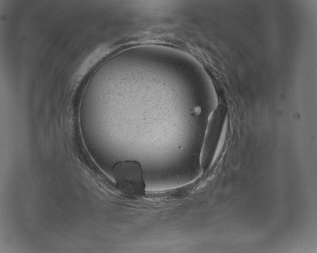 X0000070230295200605301502