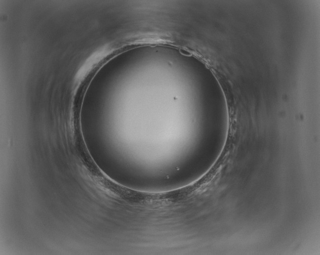 X0000070230296200605301502