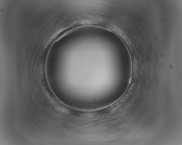 X0000070230297200605301502