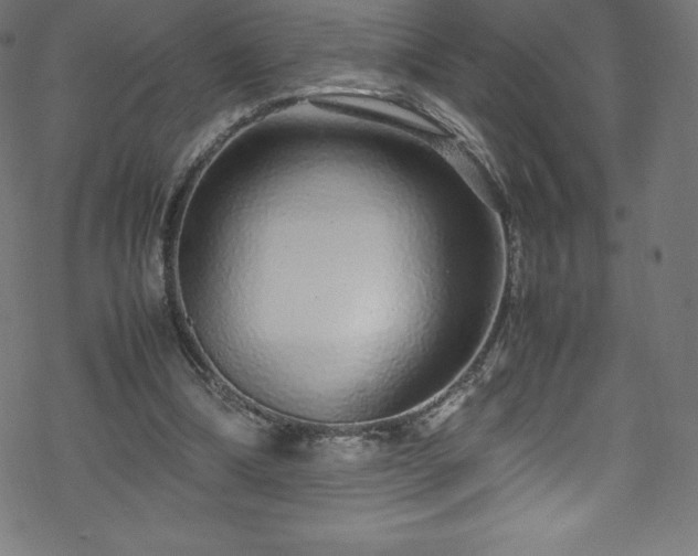 X0000070230298200605301502