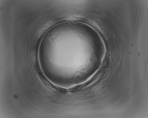 X0000070230299200605301502