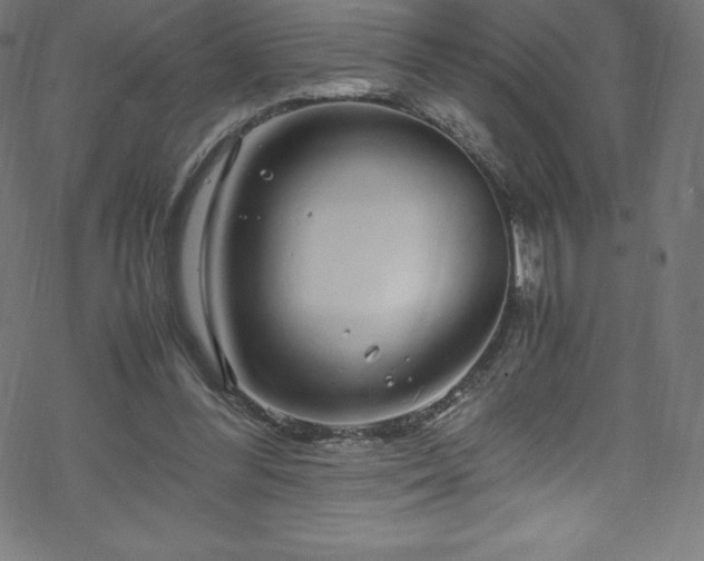 X0000070230300200605301502