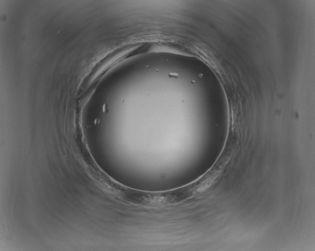 X0000070230301200605301502