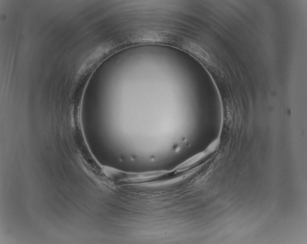 X0000070230302200605301502