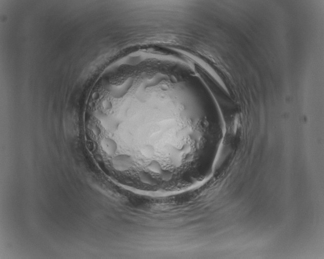 X0000070230303200605301502