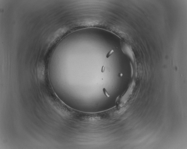 X0000070230304200605301502