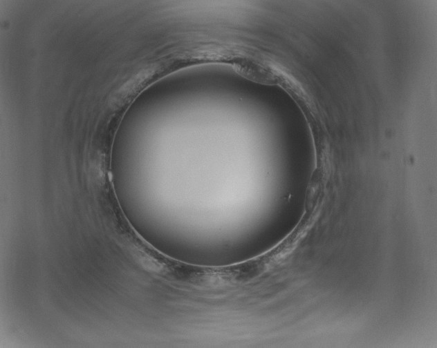 X0000070230305200605301502