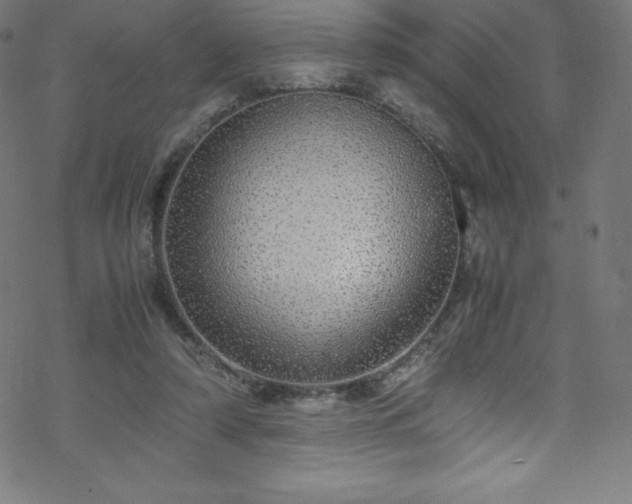 X0000070230306200605301502