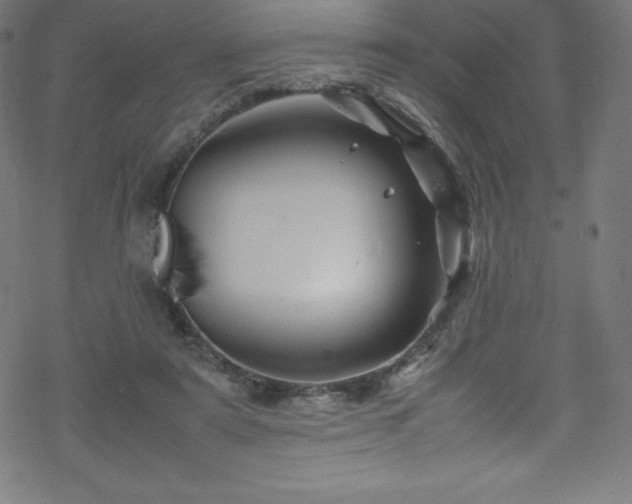 X0000070230307200605301502