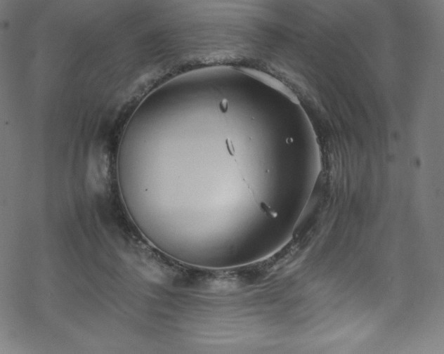 X0000070230308200605301502