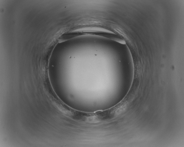 X0000070230309200605301502