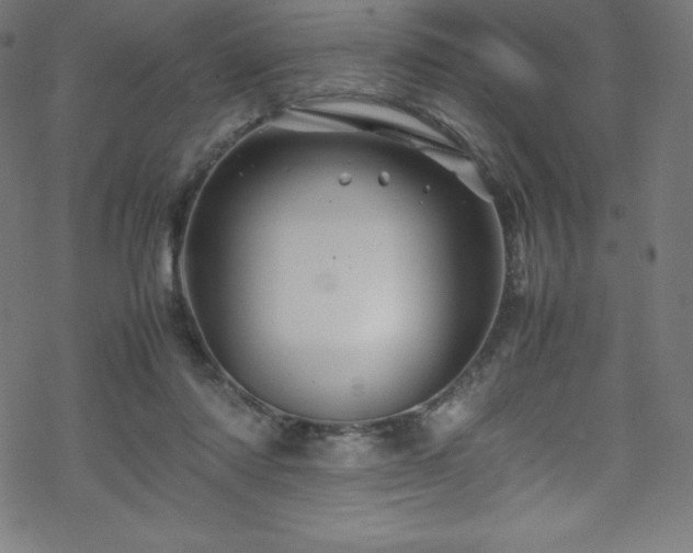 X0000070230310200605301502