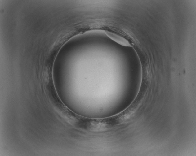 X0000070230311200605301502