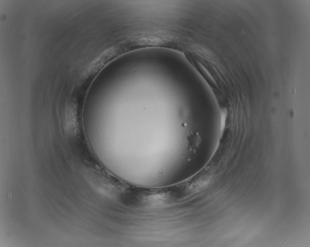 X0000070230312200605301502