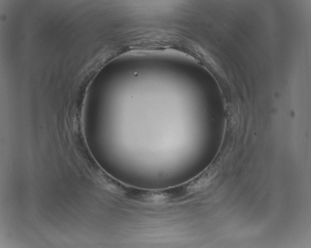 X0000070230313200605301502