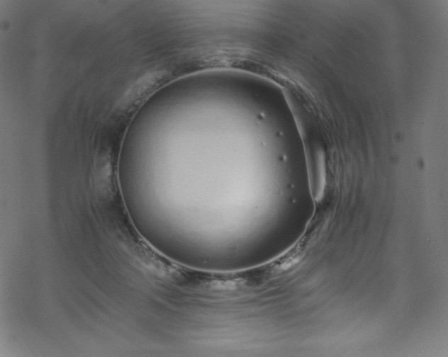 X0000070230314200605301502