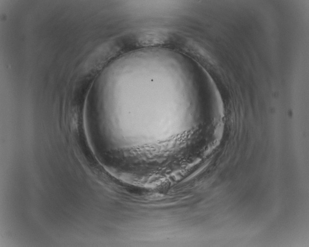 X0000070230315200605301502