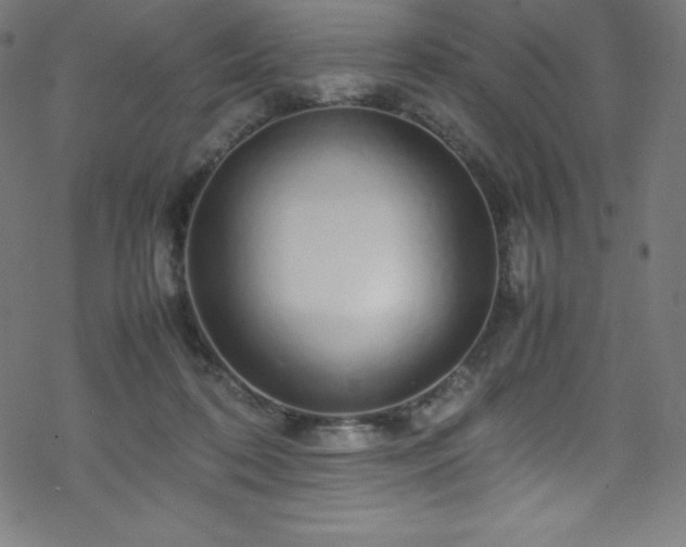 X0000070230316200605301502