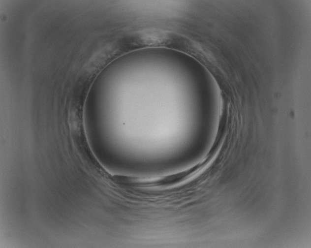 X0000070230317200605301502