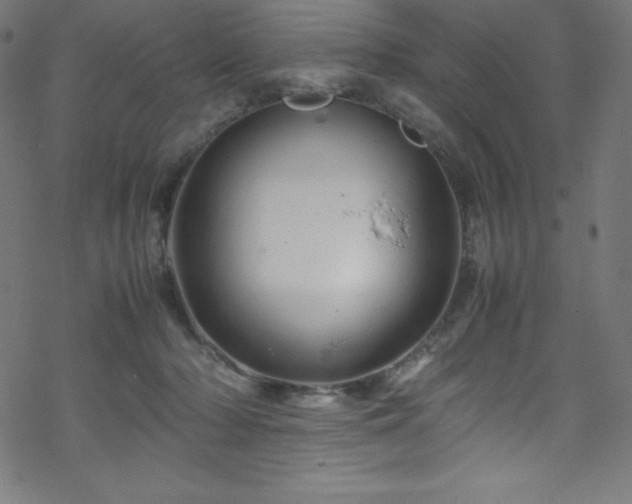 X0000070230318200605301502