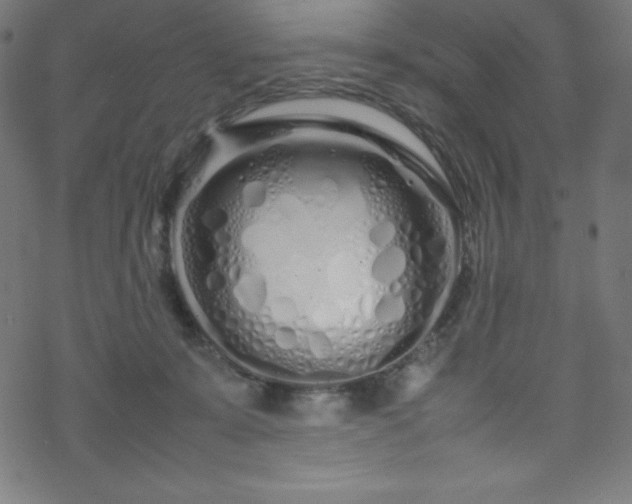 X0000070230319200605301502