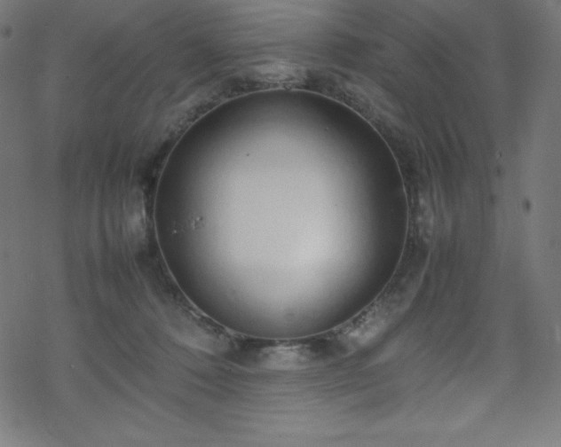 X0000070230320200605301502