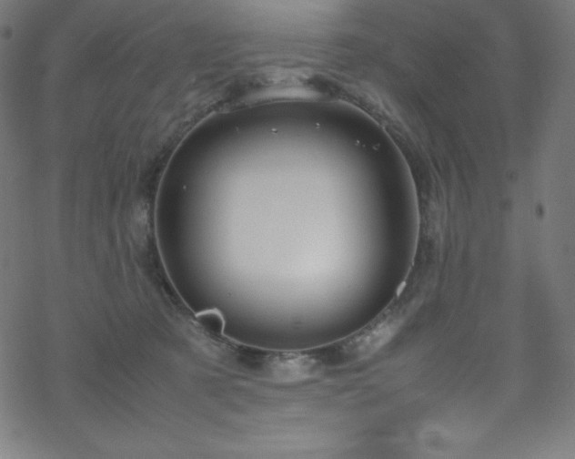 X0000070230321200605301502