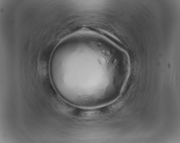 X0000070230323200605301502