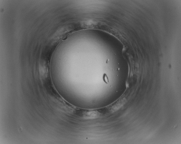 X0000070230324200605301502