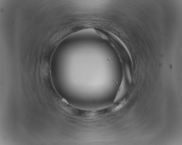 X0000070230325200605301502