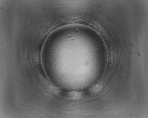 X0000070230326200605301502