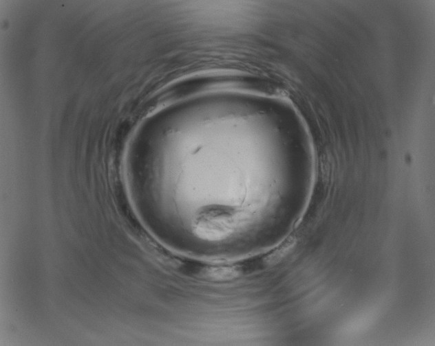 X0000070230327200605301502