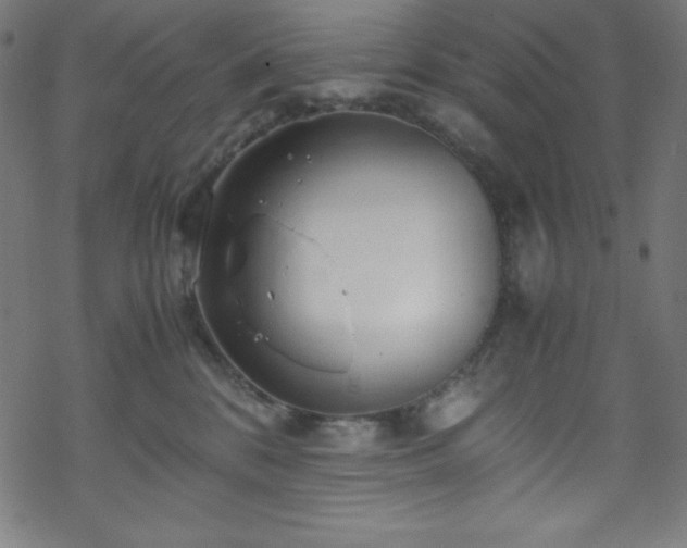 X0000070230328200605301502