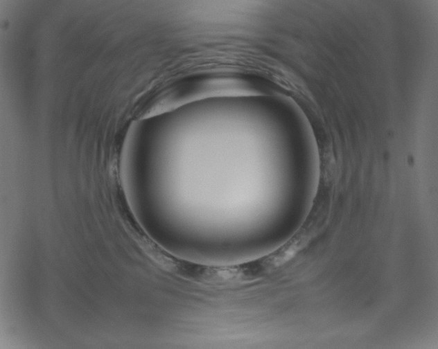 X0000070230329200605301502