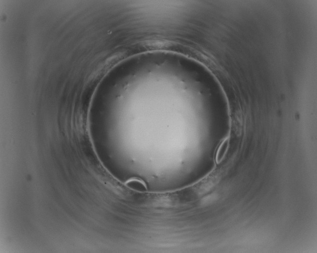 X0000070230330200605301502