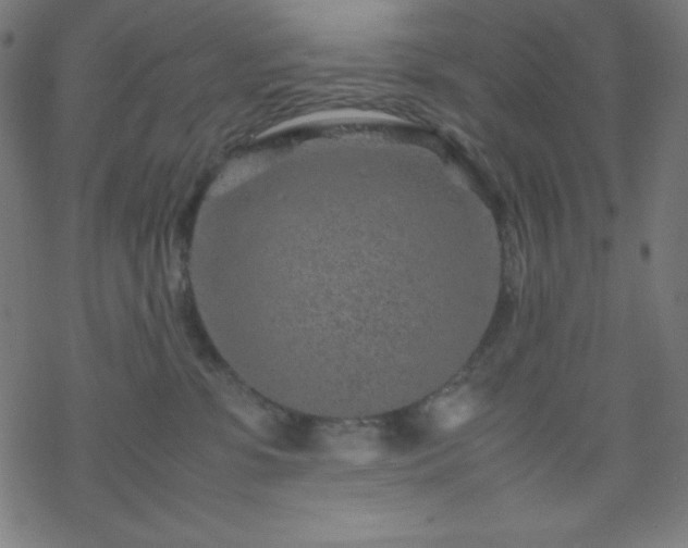 X0000070230331200605301502