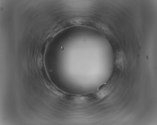 X0000070230332200605301502