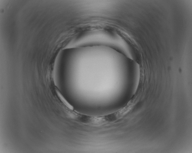 X0000070230333200605301502