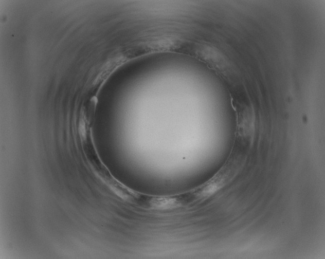 X0000070230334200605301502