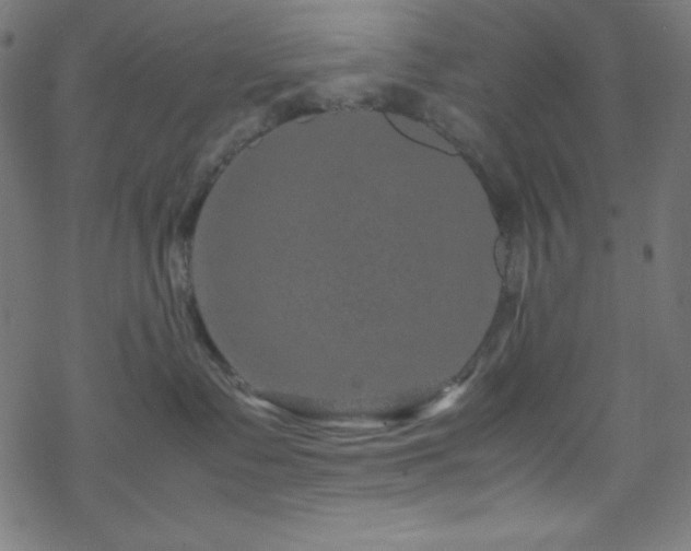 X0000070230335200605301502