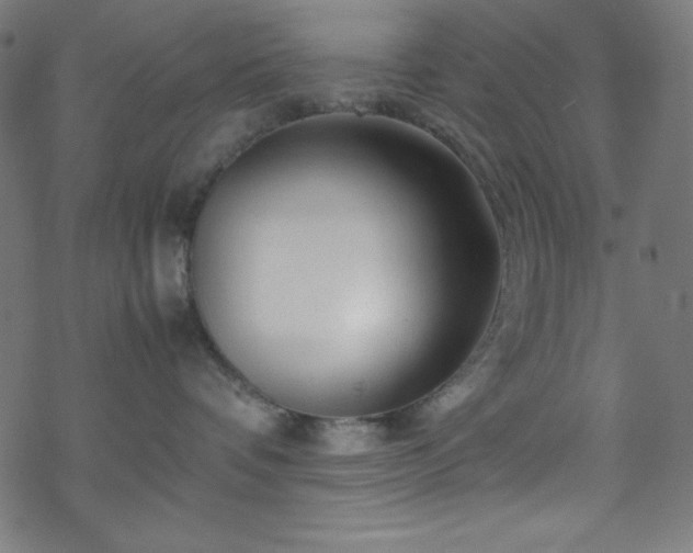 X0000070230336200605301502