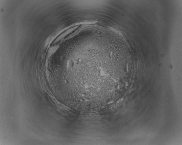 X0000070230337200605301501